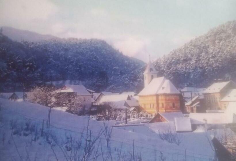 Номер Стандарт Трехместный, Pensiunea Casa Roman