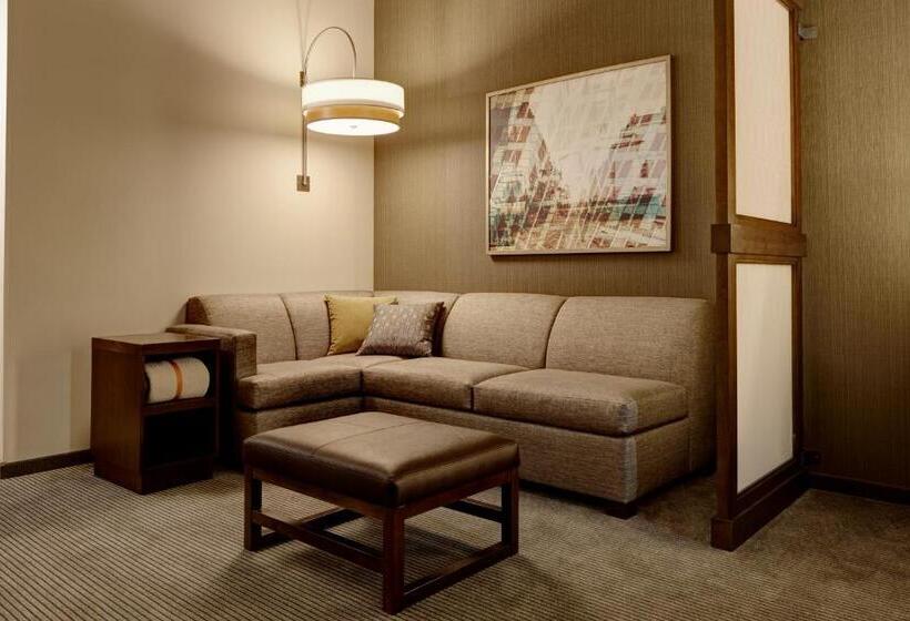 스위트 킹사이즈 침대, Hyatt Place St. Paul