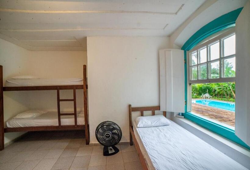 공동 객실, Casa Viva Paraty