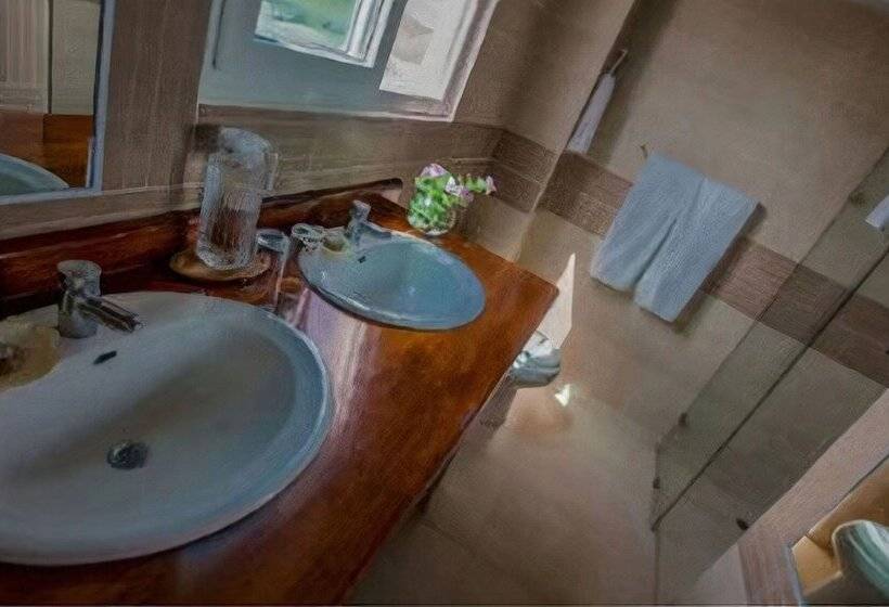 Полулюкс, Iguana Crossing Boutique