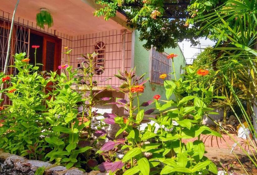 Номер Basic, Praieiro Hostel Albergue