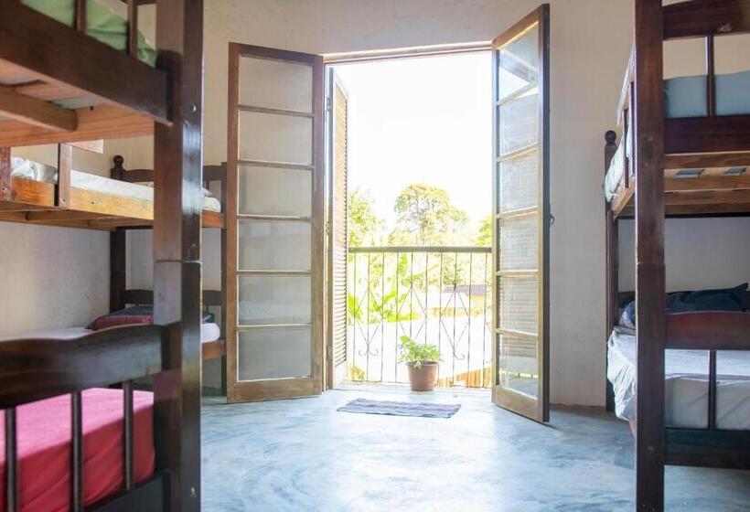 تختخواب در اتاق مشترک, Sambaqui Hostel