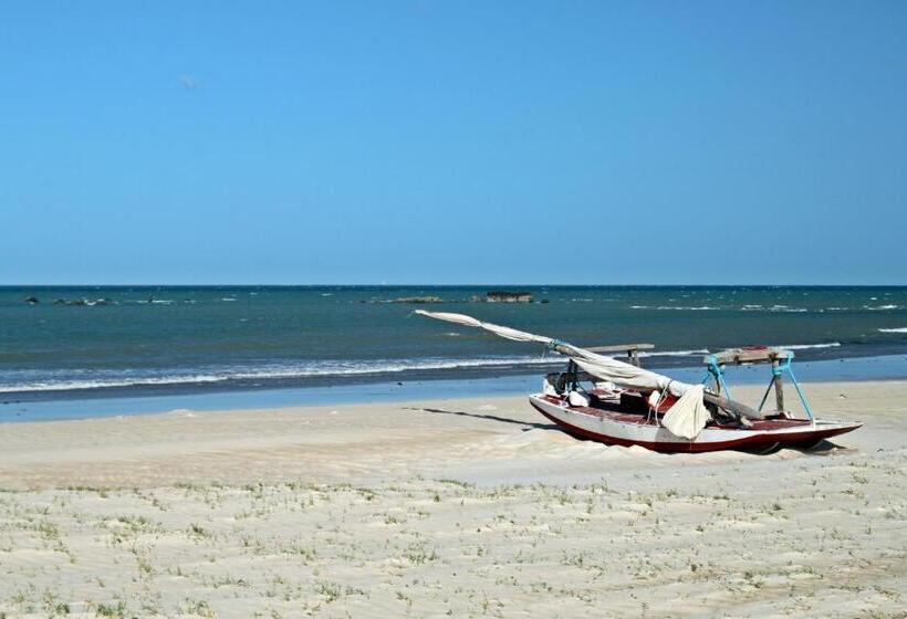 اتاق لوکس خانوادگی, Siri Paraiso