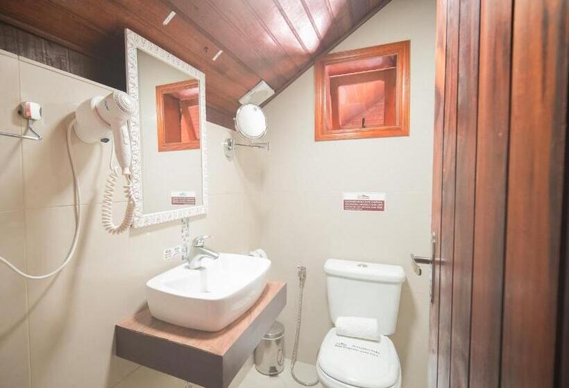 Quarto Deluxe com Hidromassagem, Pousada Suiça Mineira Centro