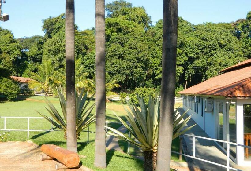 싱글 디럭스 룸, Recreio São Jorge