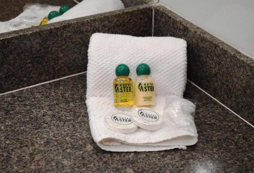 Номер Стандарт Трехместный, áster