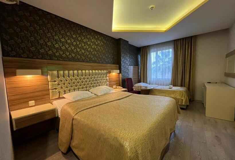 اتاق استاندارد, Grand Ezel