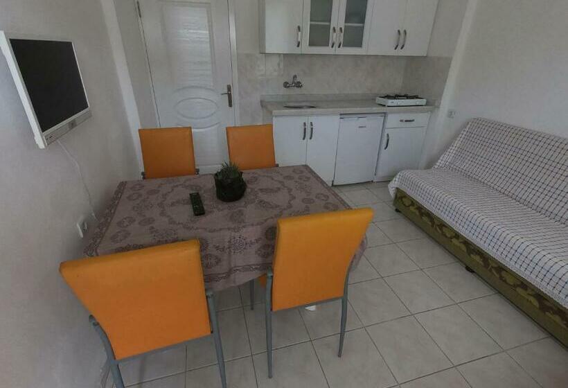 آپارتمان 1 خوابه با چشم‌انداز باغ, Sarıhan Apart Otel