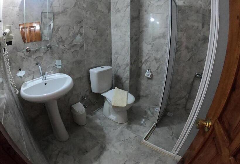 آپارتمان 1 خوابه با چشم‌انداز باغ, Sarıhan Apart Otel