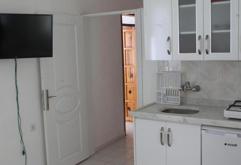 آپارتمان 1 خوابه با چشم‌انداز باغ, Sarıhan Apart Otel