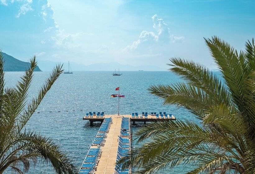 オーシャンビュースタンダードルーム, Arin Resort Bodrum