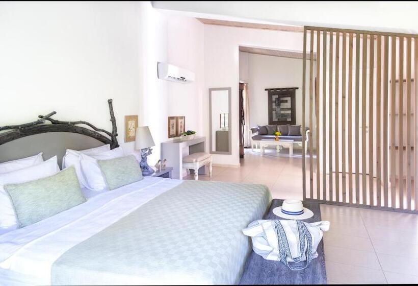 اتاق لوکس با بالکن, Golden Key Bordubet