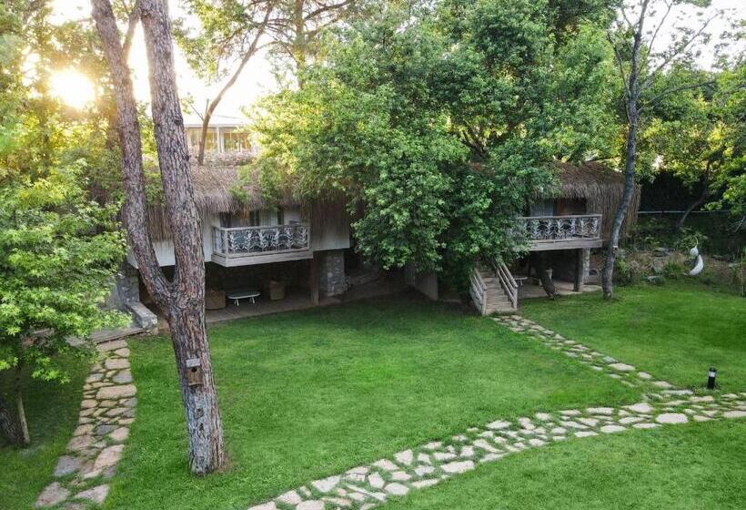 سوییت اجرایی, Golden Key Bordubet