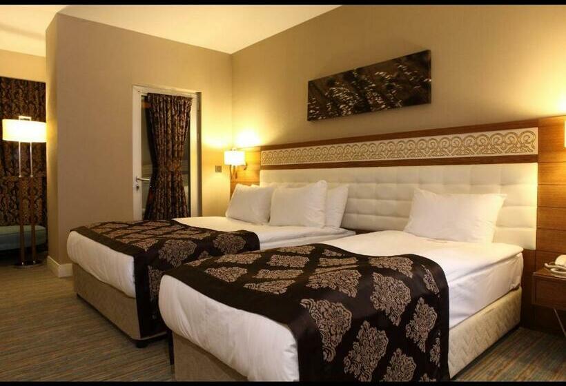 اتاق استاندارد, Sivas Revag Otel