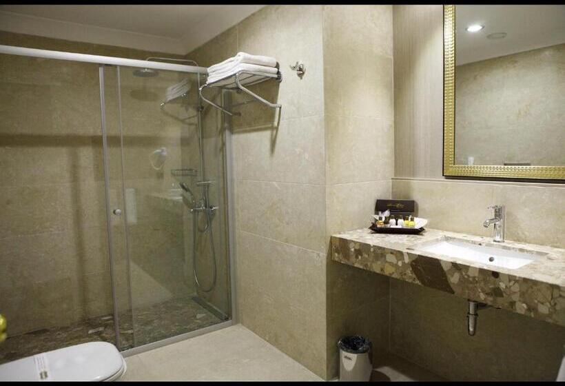 اتاق استاندارد یک نفره, Sivas Revag Otel
