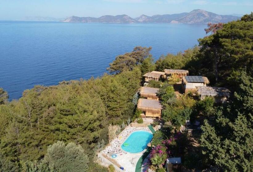 Номер Deluxe Вид на Море, Honey Hill Faralya Forest Cabins By The Sea