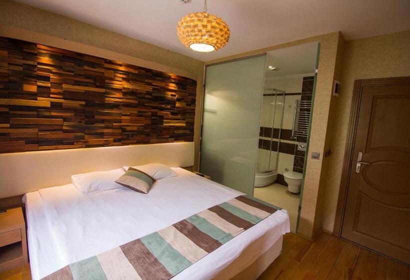 اتاق استاندارد, Ayderoom