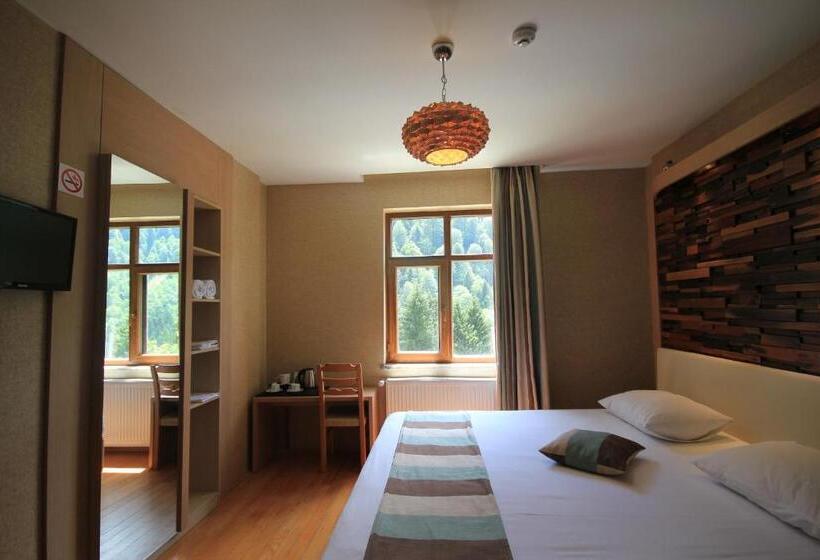 Deluxe Room Mountain View, Ayderoom