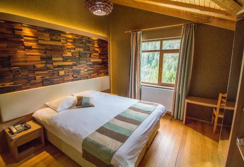 Deluxe Room Mountain View, Ayderoom