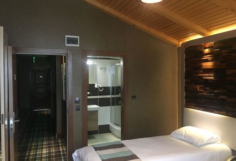 اتاق استاندارد سه نفره, Ayderoom