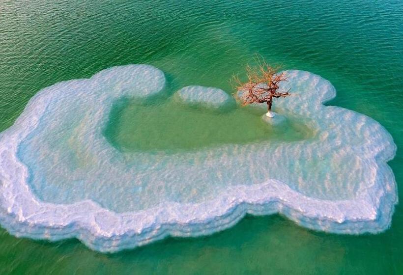 침실 1개 주택, Zimmer Dora