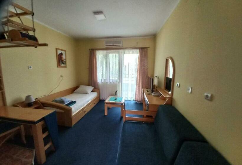 إستوديو قياسى, Garni Hotel Lupus