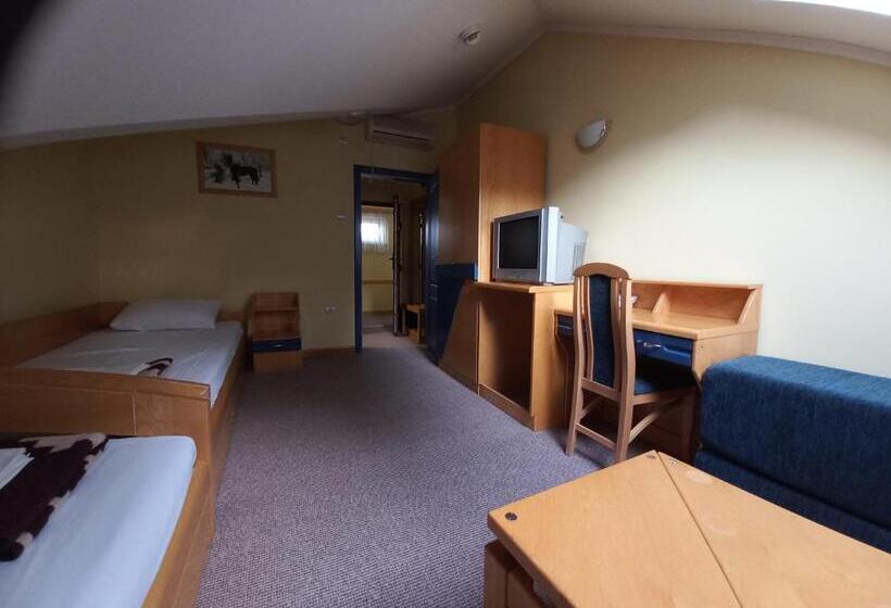 غرفة أساسية, Garni Hotel Lupus