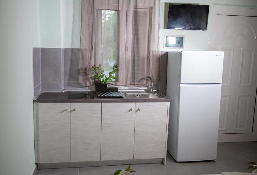 Студия Стандарт, Villa Pap