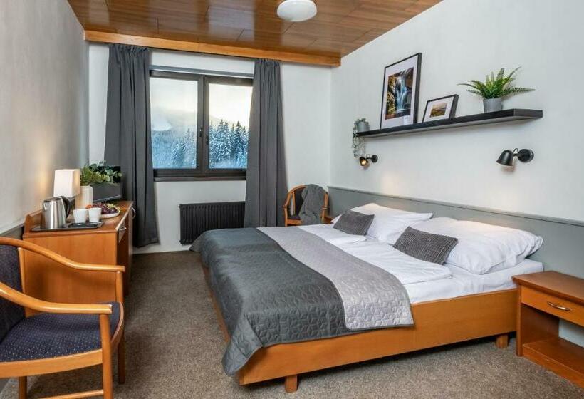 Номер Стандарт, Wellness Hotel šedý Vlk