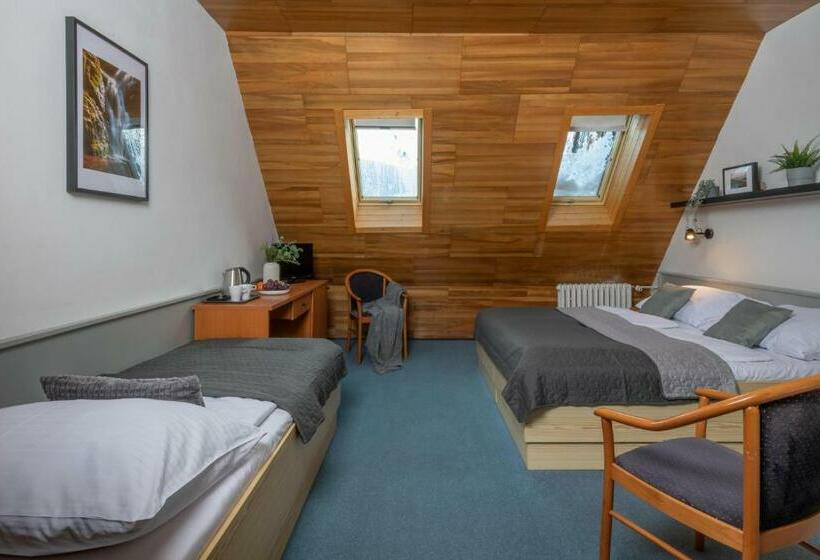 Номер Стандарт Трехместный, Wellness Hotel šedý Vlk