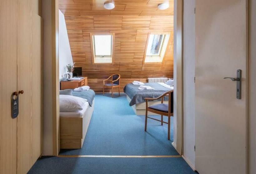 Cameră Triplă Standard, Wellness Hotel šedý Vlk