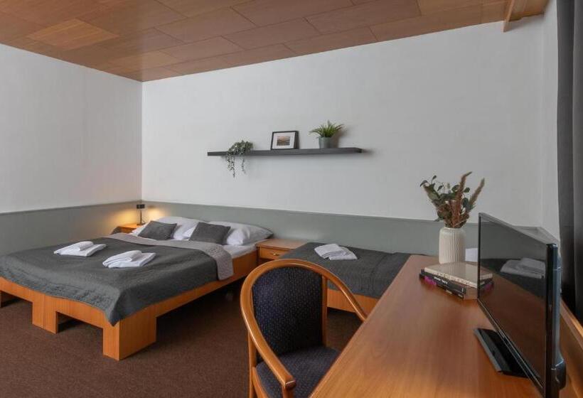 Четырехместный Номер Стандарт, Wellness Hotel šedý Vlk