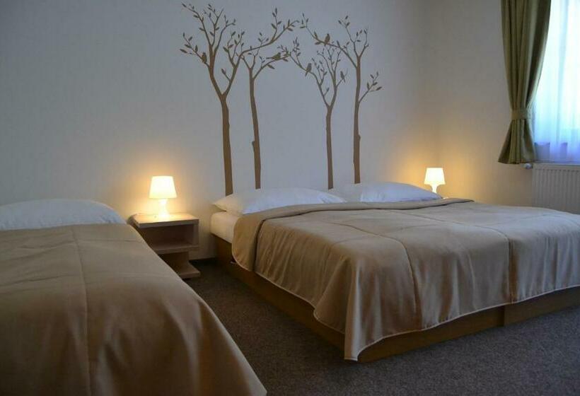 اتاق استاندارد سه نفره, Wellness Hotel Sauna