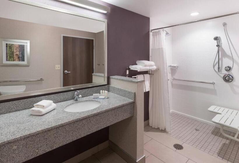 Standard Szoba King Size Bed, Fairfield Inn & Suites By Marriott Chicago Schaumburg