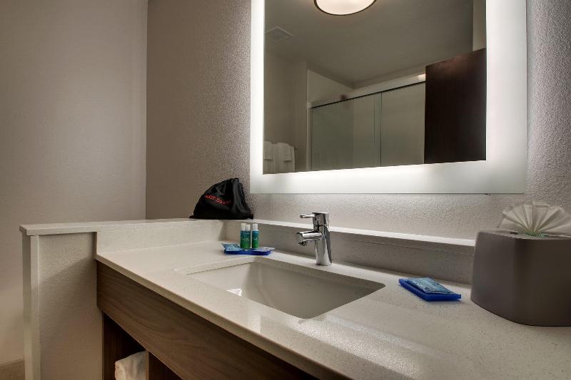 Люкс Адаптированный для Инвалидов, Holiday Inn Express & Suites   Mount Vernon, An Ihg