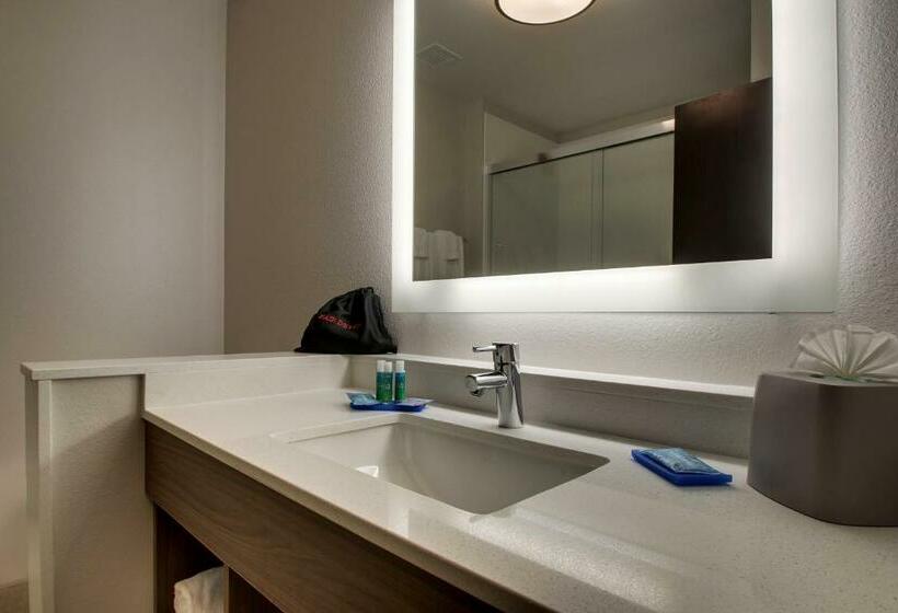 Номер Стандарт Адаптированный для Инвалидов, Holiday Inn Express & Suites   Mount Vernon, An Ihg
