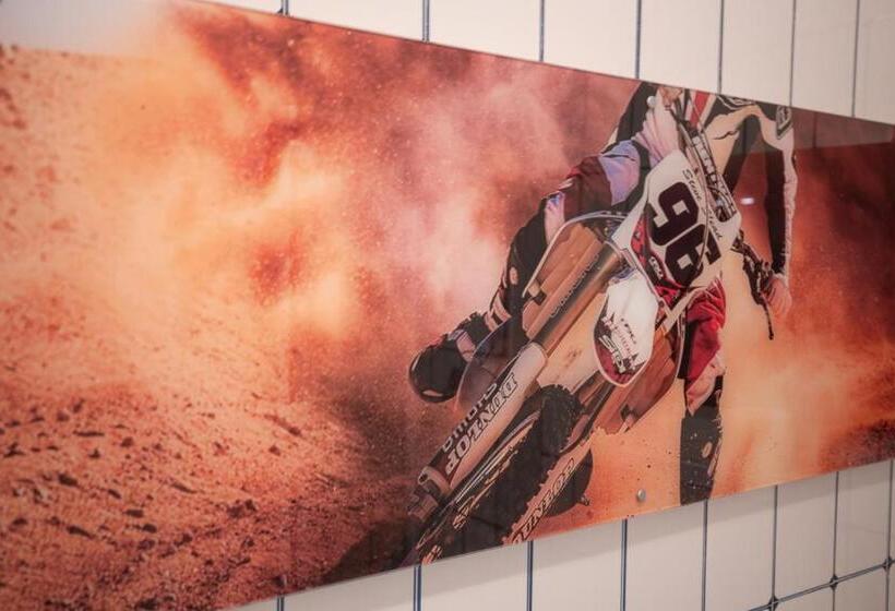 اتاق استاندارد, Ciclamino