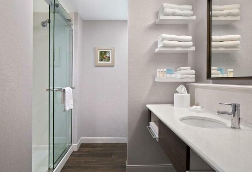 Стандартный Номер Кровать Кинг, Hampton Inn & Suitesseattle Woodinville Wa