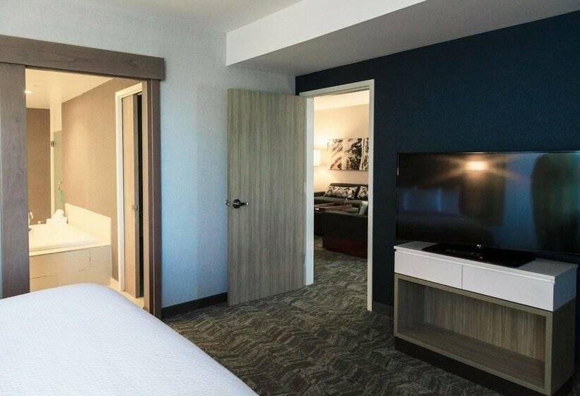 스탠다드 스튜디오, Springhill Suites By Marriott Somerset Franklin Township