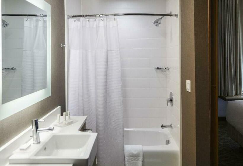 스탠다드 스튜디오, Springhill Suites By Marriott Somerset Franklin Township
