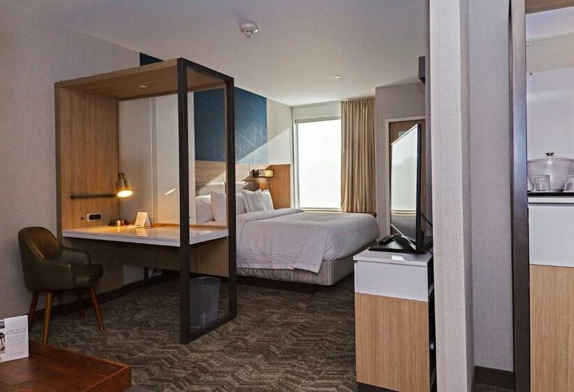 스탠다드 스튜디오 킹침대, Springhill Suites By Marriott Somerset Franklin Township