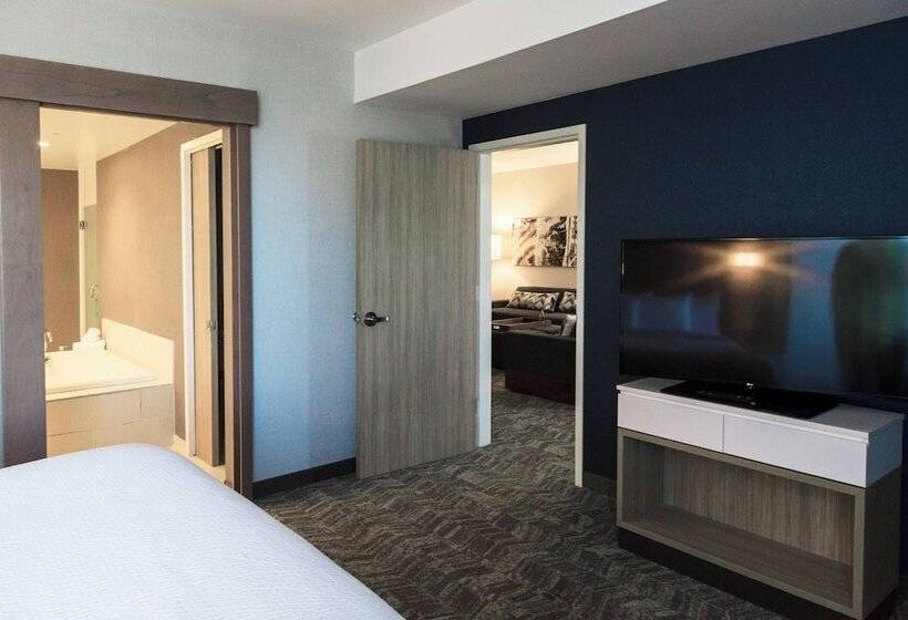 스탠다드 스튜디오, Springhill Suites By Marriott Somerset Franklin Township