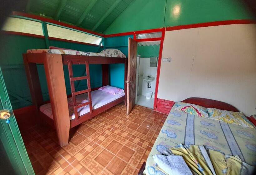 Апартаменты 1 Спальня, Cabaña Playa Ladrilleros