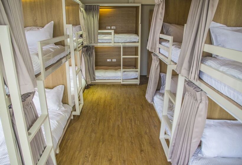 تختخواب در اتاق مشترک, Paper Plane Hostel