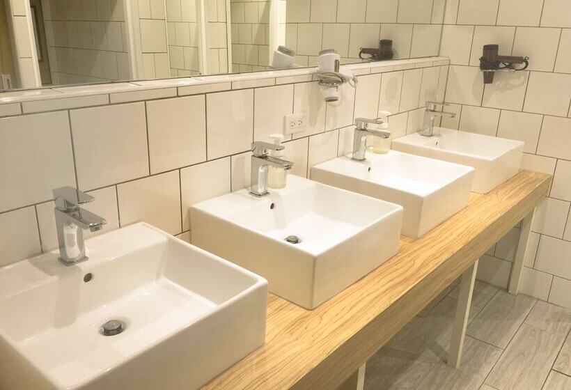 تختخواب در اتاق مشترک, Paper Plane Hostel