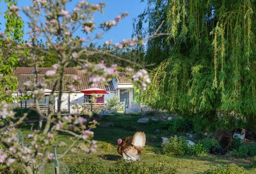 Студио Стандарт Кровать Кинг, La Chevrerie