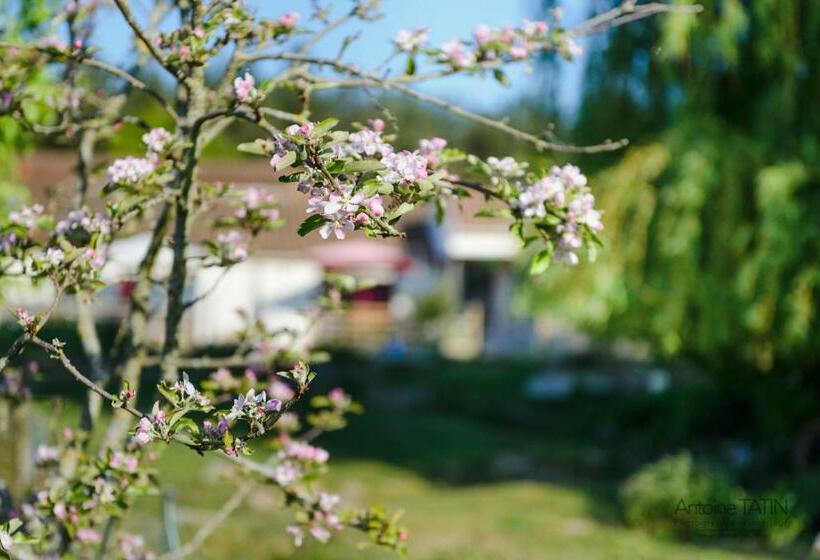 Четырехместный Номер Стандарт, La Chevrerie