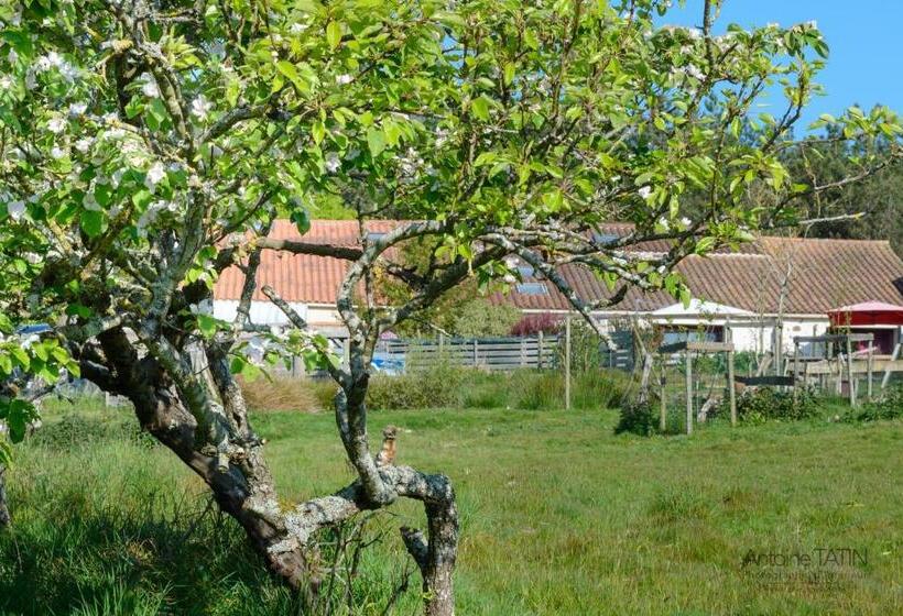 Четырехместный Номер Стандарт, La Chevrerie