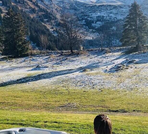 آپارتمان سوپریور 1 خوابه, Chalet Hôtel Inarpa