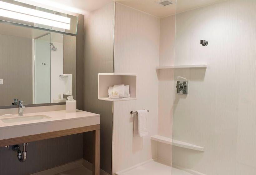 Номер Стандарт, Courtyard By Marriott Mt. Pleasant At Central Michigan University